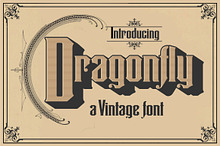 Dragonfly