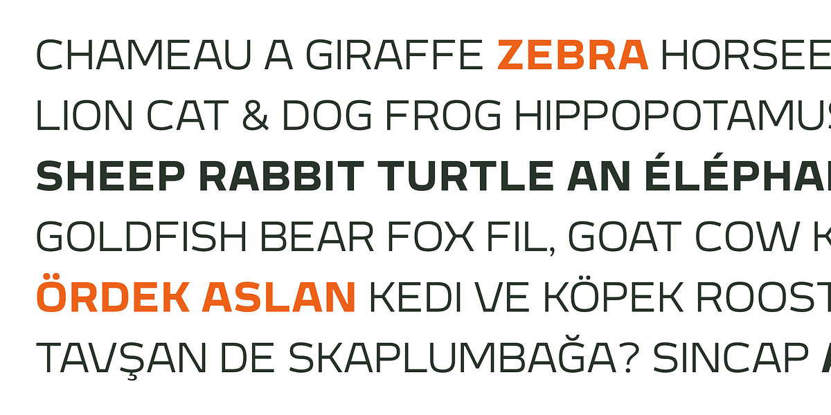 Meguro Sans, a Sans Serif Font by GT&CANARY (Photo 6 of 12)