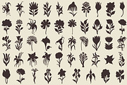 Wildflower Mood: 100 Floral Elements, an Object Illustration by Veyla (Thumbnail 5 of 13)