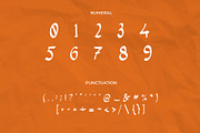 The Wolfflin // Handwritten Font, a Script Font by Letterature Std. (Thumbnail 5 of 11)