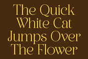 CS Asena – Elegant Serif Font, a Serif Font by Craft Supply Co. (Thumbnail 2 of 8)
