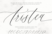 Aristea | Modern Calligraphy Script, a Script Font by Pink Coffie (Thumbnail 8 of 9)