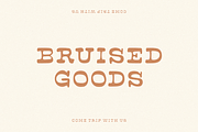 Road Trip, a Slab Serif Font by Bruised Goods (Thumbnail 4 of 4)