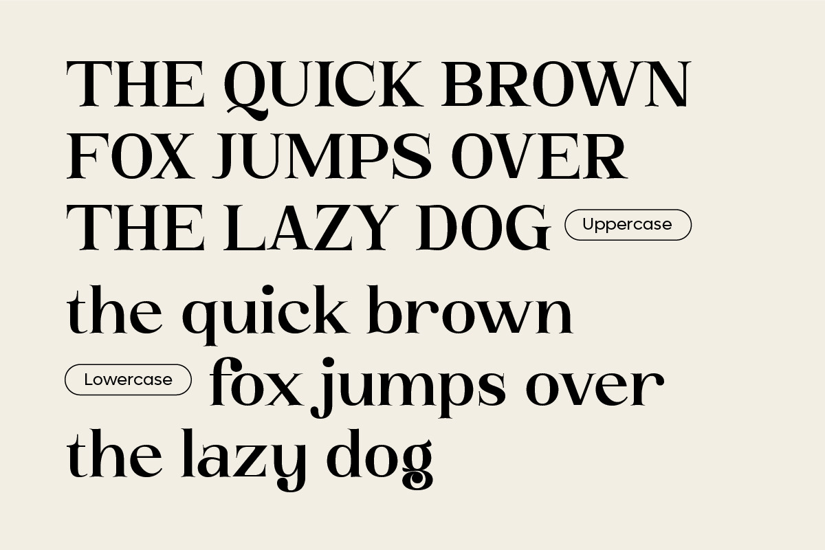 Yellow Club | Retro Serif, a Serif Font by ClevUs (Photo 7 of 10)