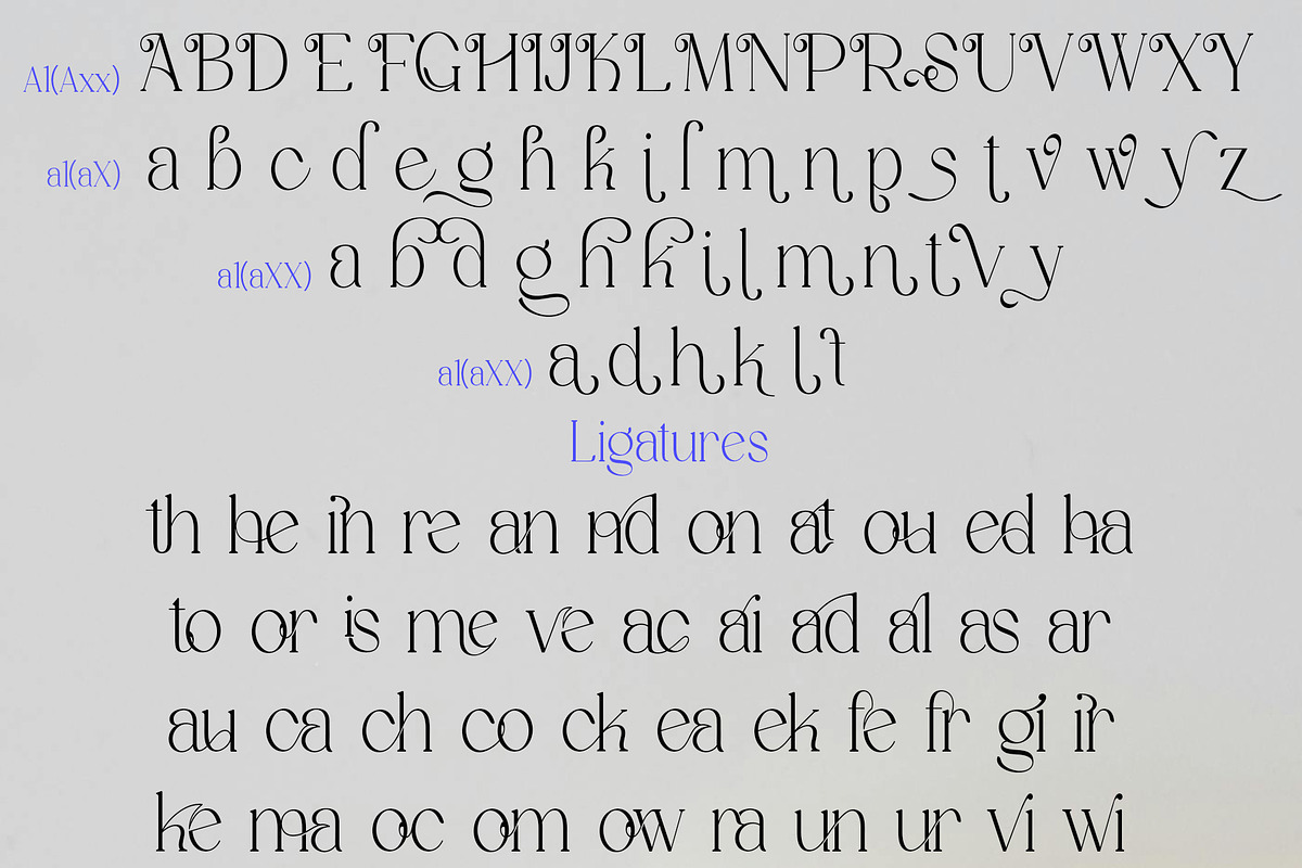 Stivra – Serif Font Family, a Serif Font by NDNL Studio (Photo 11 of 11)