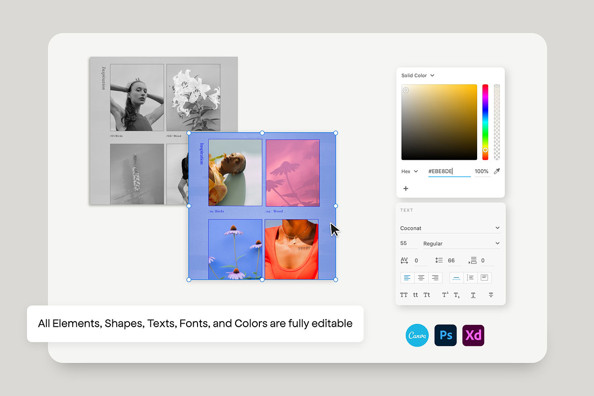 Olena - Social Kit Templates, a Social Media Template by Sparrow & Snow (Photo 11 of 14)