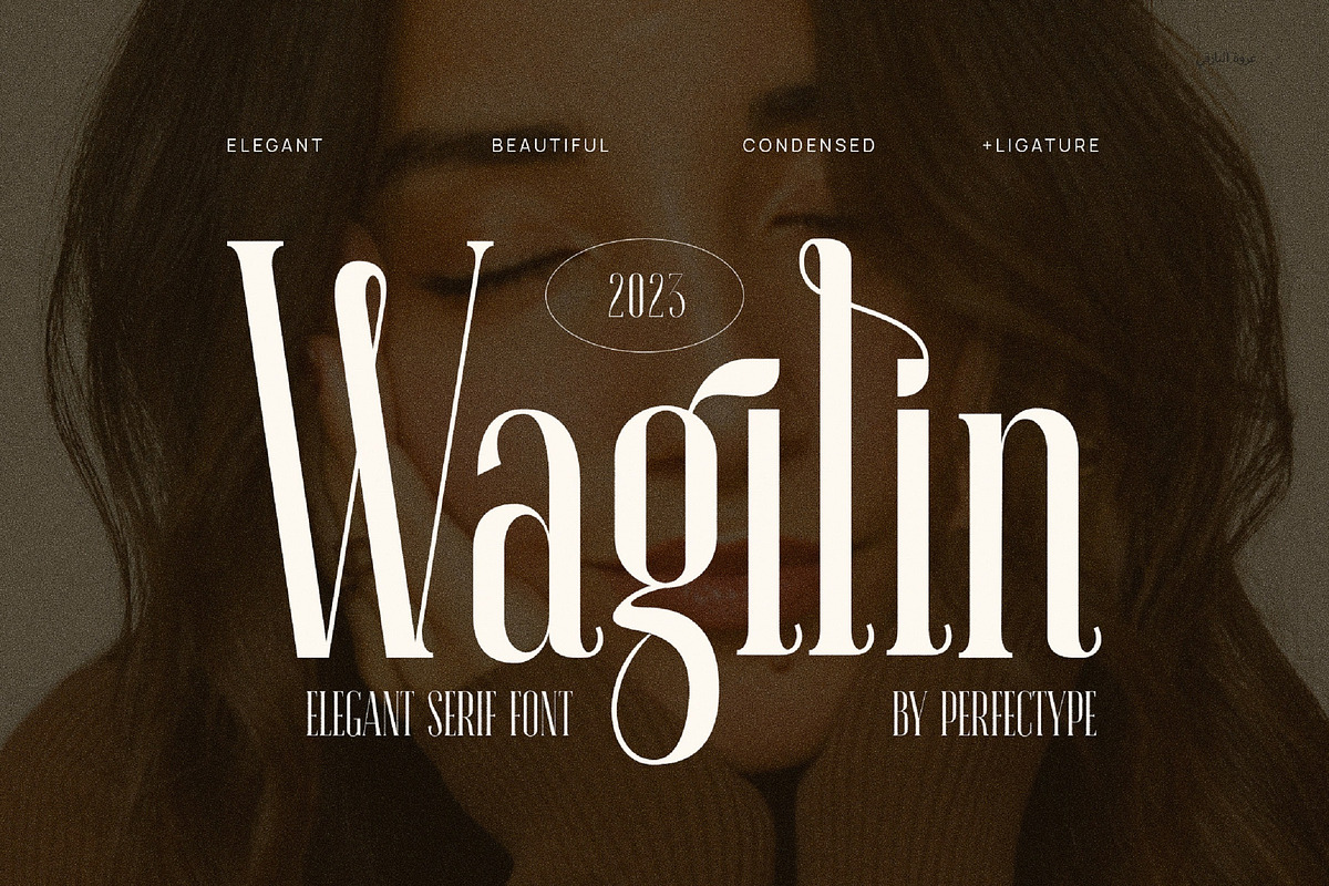 Wagilin Elegant  Serif Font Typeface, a Serif Font by Perfectype (Photo 1 of 7)