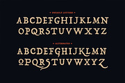 Lazarus Typeface, a Serif Font by Tugcu Design Co. (Thumbnail 2 of 4)