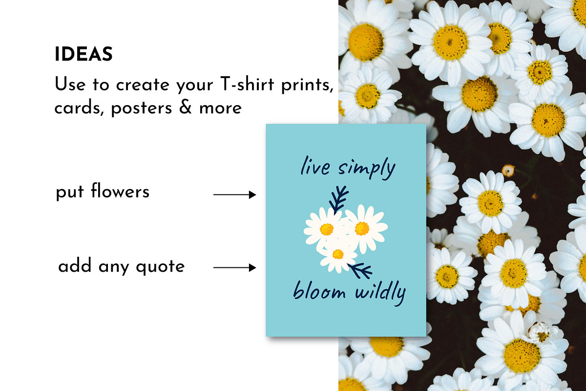 Daisy Ditsy Floral Pattern Bundle, a Pattern Graphic by AvaAva (Photo 17 of 19)