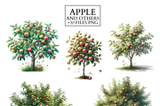 Apple Clipart Set Watercolor PNG, a Food Illustration by VM PARTYS  BY TAIRUMA (Thumbnail 7 of 7)