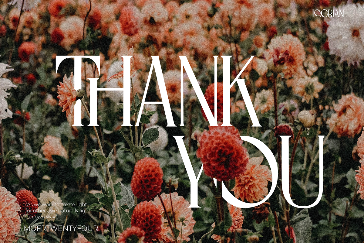 Locrian - A Chic Serif Font, a Serif Font by Mofr 24 (Photo 12 of 12)