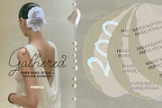 Gathered: Paper Elements, an Object Graphic by Purple (Thumbnail 5 of 13)