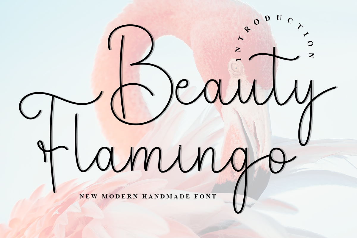 Beauty Flamingo, a Handwritten Font by InermediaSTUDIO (Photo 1 of 7)
