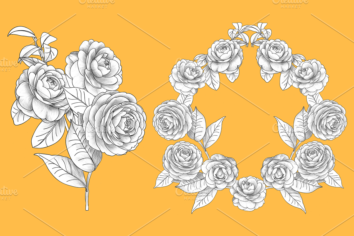 Camellia japonica, an Object Graphic by VictoriaKStudio (Photo 5 of 6)
