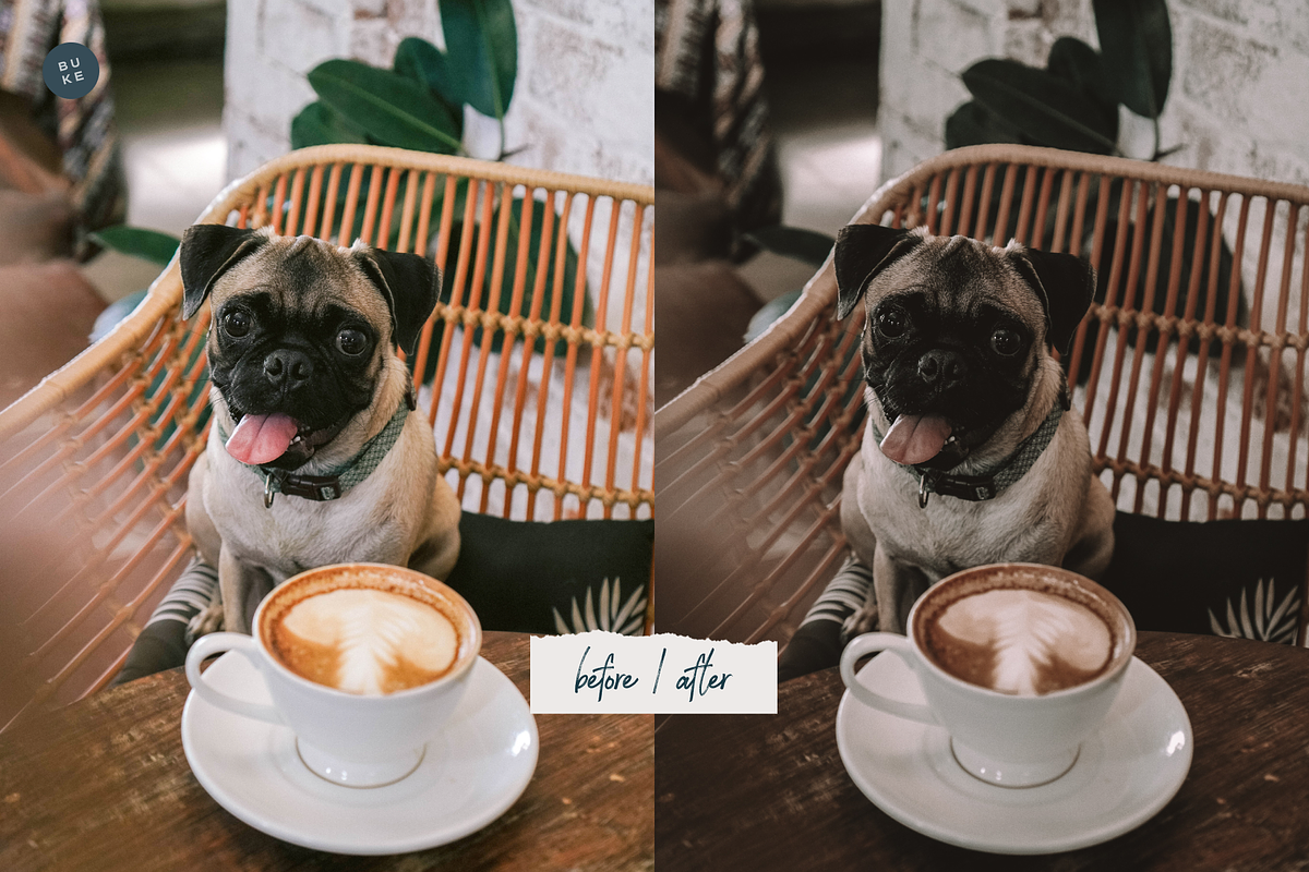 Midday Sun – 10 Lightroom Presets, a Preset Add-On by SHOOM HOUSE (Photo 6 of 9)