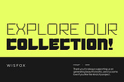 Wisfox, a Symbol Font by Ditatype (Thumbnail 16 of 16)