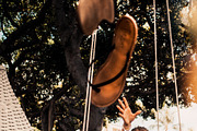 Mobile Lightroom Presets, an Action Add-On by The Red Pine (Thumbnail 12 of 14)