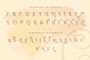 Blosvet, a Serif Font by ToniStudio (Thumbnail 8 of 12)
