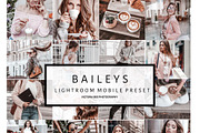 NEW! Mobile Lightroom Preset BAILEYS, an Action Add-On by Victoria Bee Presets (Thumbnail 1 of 11)