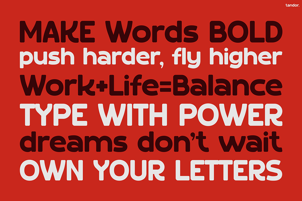 Tandor, a Sans Serif Font by Pinisi ART (Photo 3 of 10)