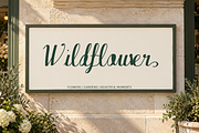 Sylva Belle Modern Calligraphy, a Script Font by Colorsfav (Thumbnail 8 of 10)