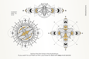 Skakralny Geometry And Beetles