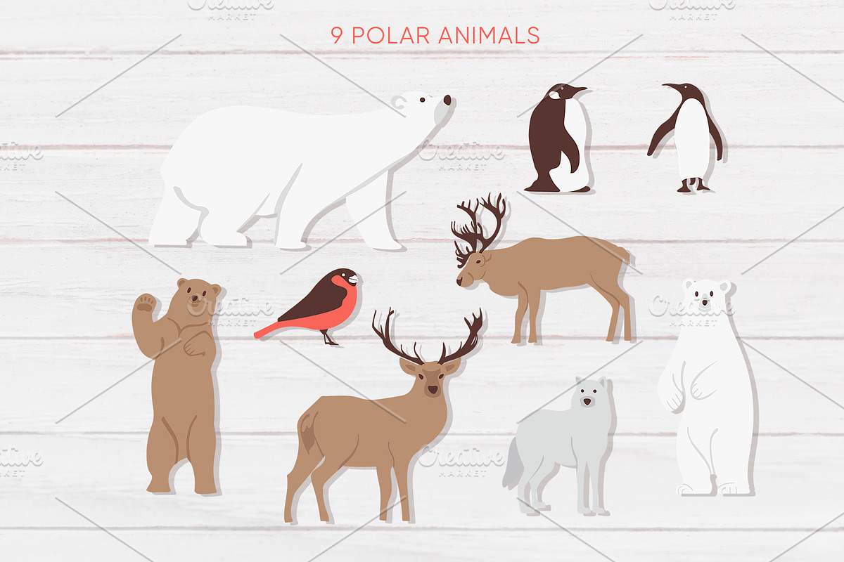 Christmas postcards, map creator, an Animal Illustration by Mariia Kovalchuk (Photo 3 of 10)