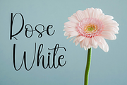 Beautiful Teacher, a Handwritten Font by InermediaSTUDIO (Thumbnail 4 of 8)