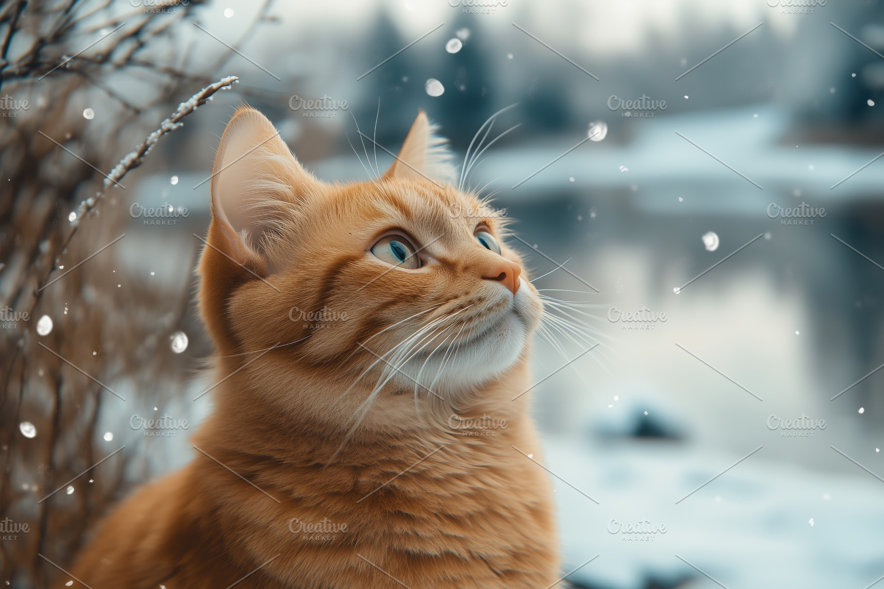 A close-up of an orange tabby cat gazing upwards, surrounded by a snowy landsca, an Animal Photo by Textures & Backgrounds