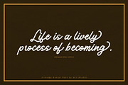 Vintage Rotter, a Script Font by Vintage Division (Thumbnail 2 of 10)