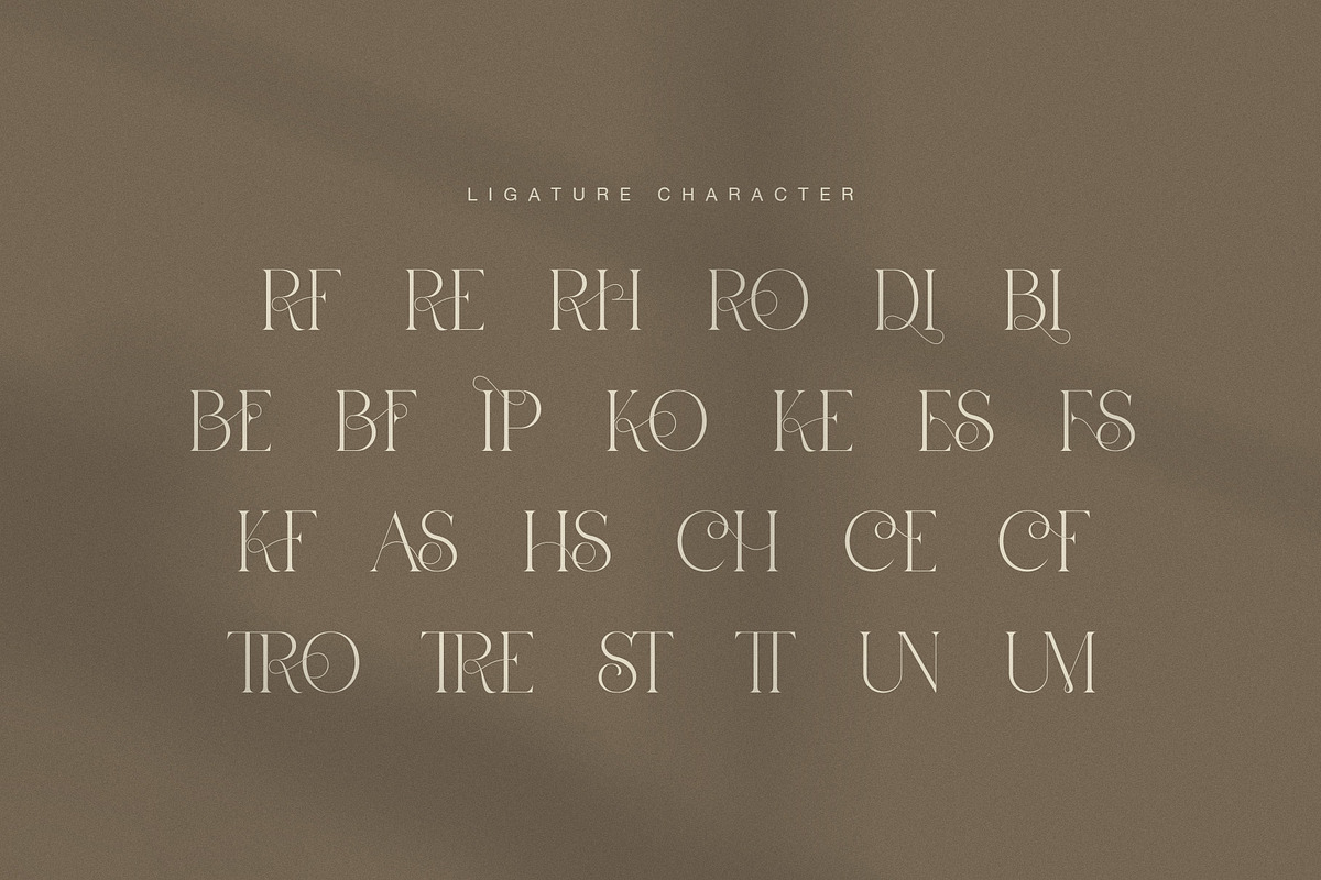 Diores Elegant Serif Font, a Serif Font by Graphicxell (Photo 8 of 8)