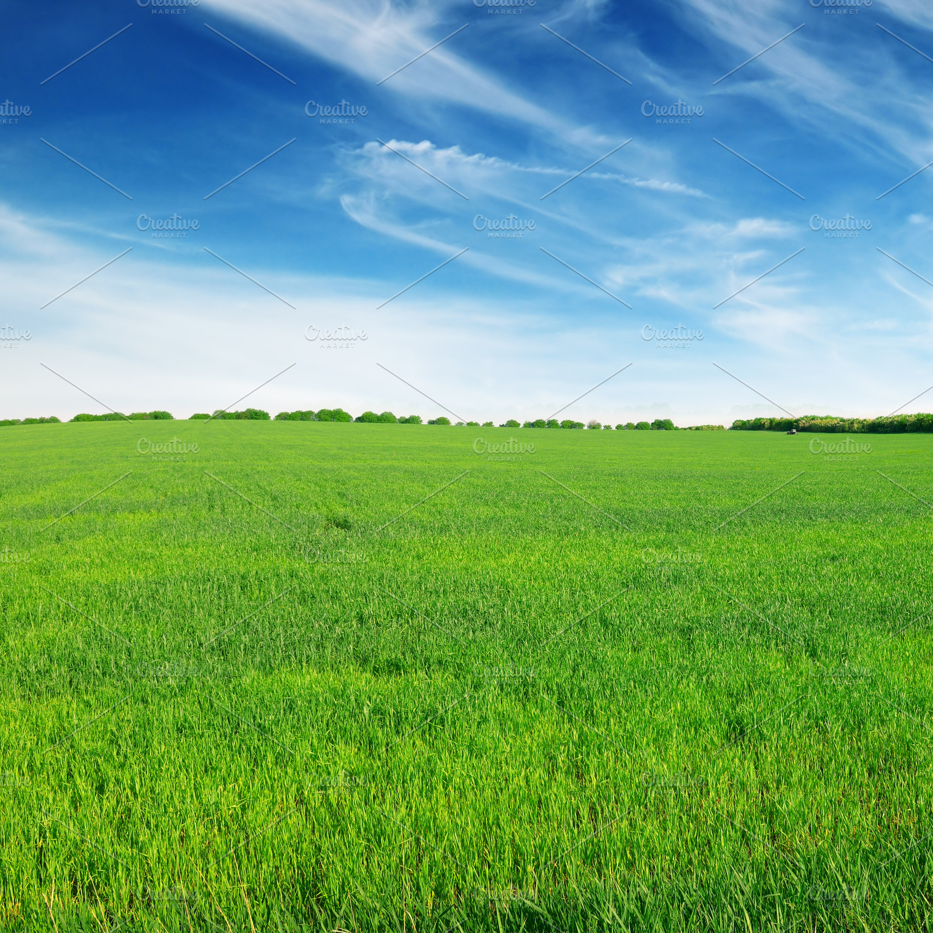 field and sky, a Nature Photo by Serg64