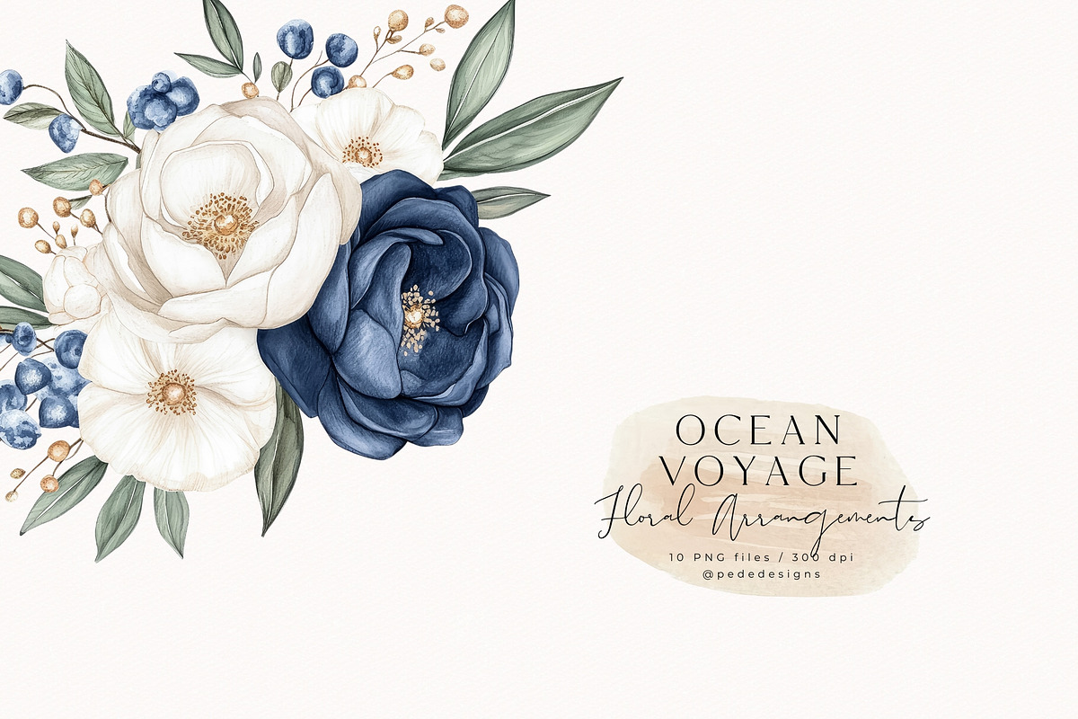 Ocean Voyage Collection, a Decorative Illustration by PeDe Designs (Photo 14 of 26)
