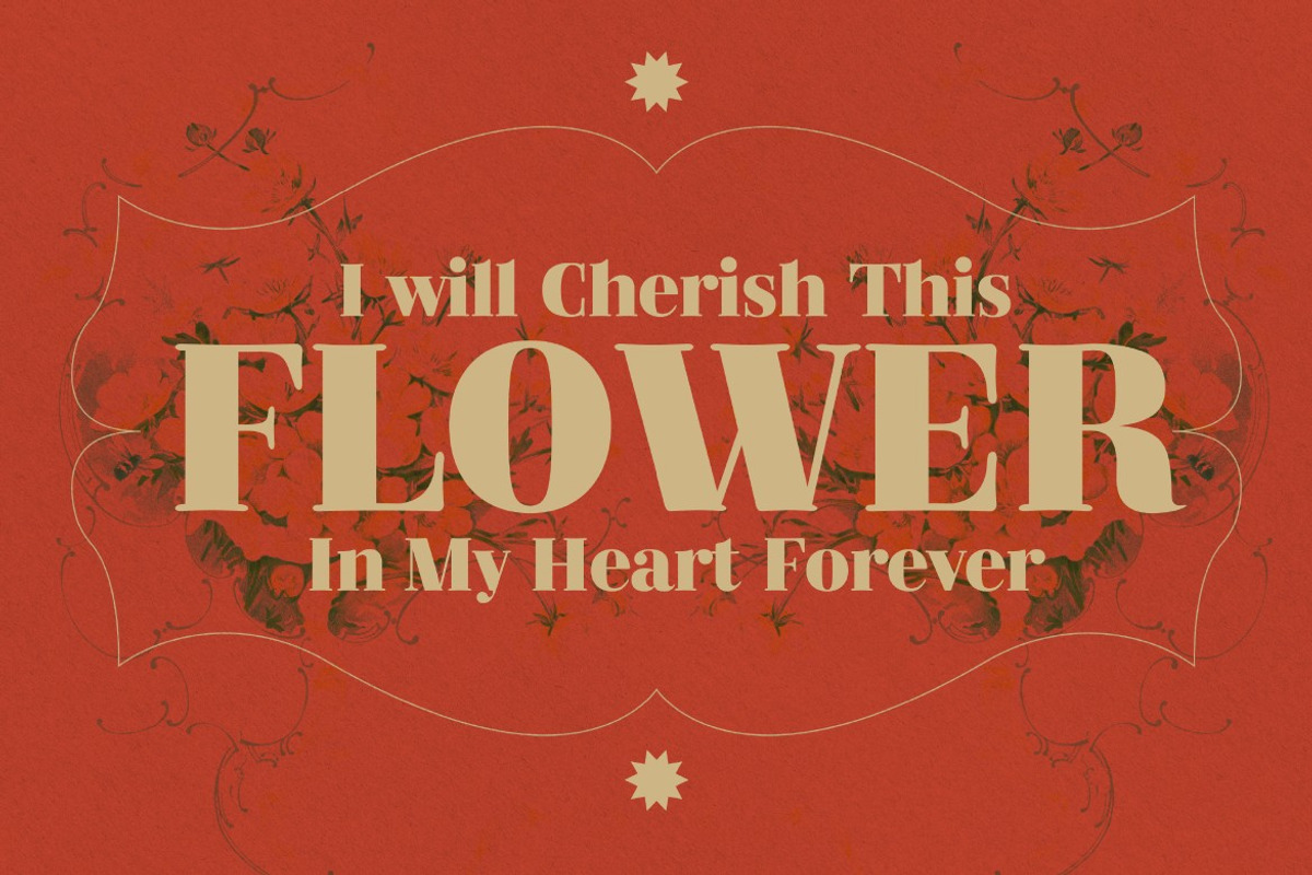 Serifine, a Serif Font by graphicook (Photo 9 of 10)