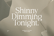 GC Quick Gaseous – Elegant Serif, a Serif Font by Glyphonic (Thumbnail 2 of 15)