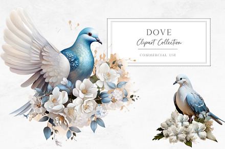 Dove Clipart