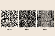Iconic Animal Print Patterns, a Pattern Graphic by Jaclyn Caris (Thumbnail 4 of 16)