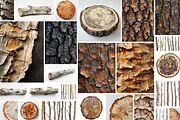 Wood - 163 images, a Nature Photo by Handmadefont (Thumbnail 10 of 25)