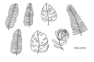 Tropical Leaf Prints