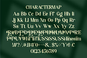 Resien || Modern Classy Serif Font, a Serif Font by Ermedia Studio (Thumbnail 9 of 10)