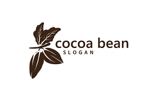 cocoa bean elegant chocolate bean