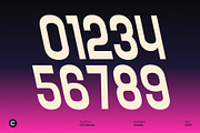 CS Chicago – Modern Sans Serif, a Sans Serif Font by Craft Supply Co. (Thumbnail 4 of 8)