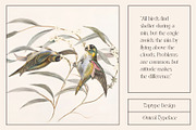 Onteal - Serif Display Ligature Font, a Serif Font by Vesvocrea (Thumbnail 2 of 9)