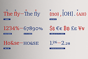 Chucara next, a Serif Font by Letritas (Thumbnail 3 of 14)
