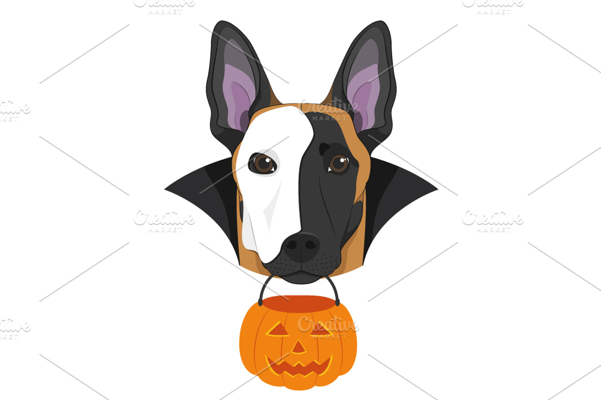 Halloween 30x Dog Breeds Set 2, an Animal Illustration by asantosg (Photo 9 of 9)