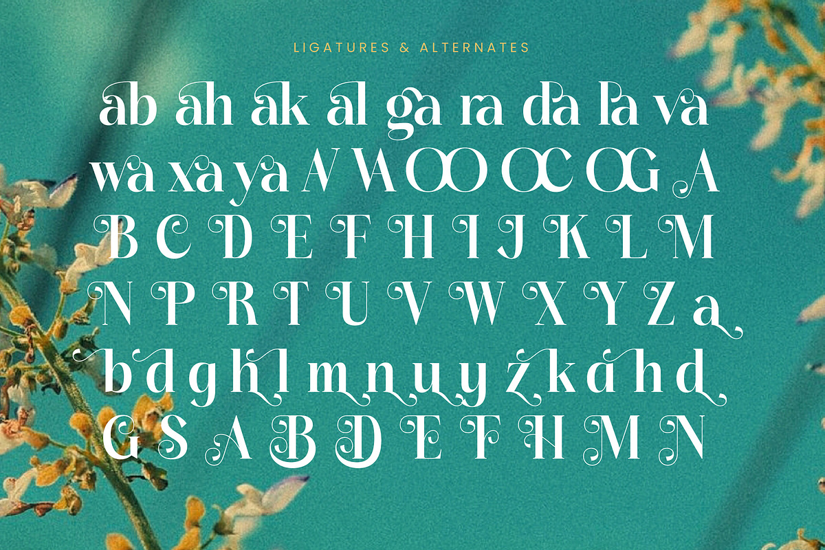 Dudga Baloval Elegant Serif Font, a Serif Font by timelesstype.co (Photo 19 of 20)