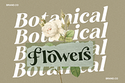 Ansilent - Modern Serif Font, a Serif Font by RagamKata (Thumbnail 4 of 10)