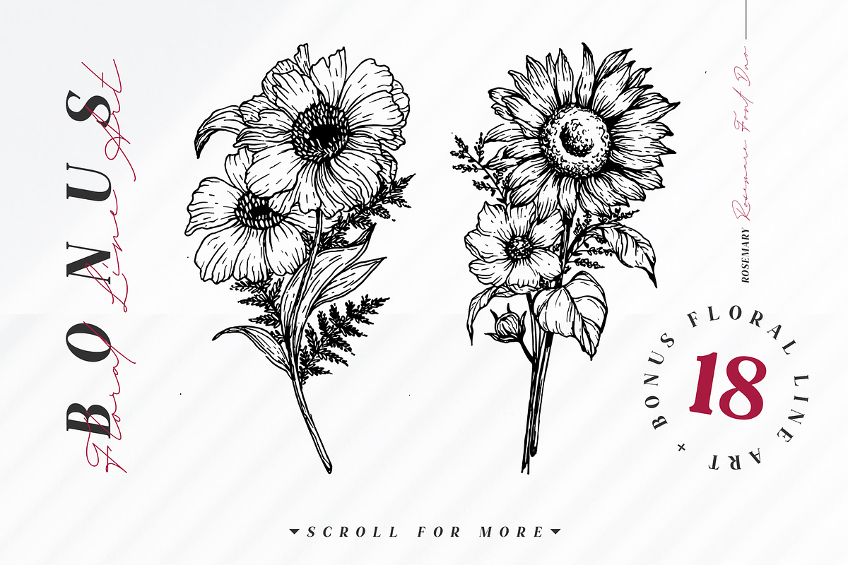 TN Rosemary Font Duo & Graphic preview 8