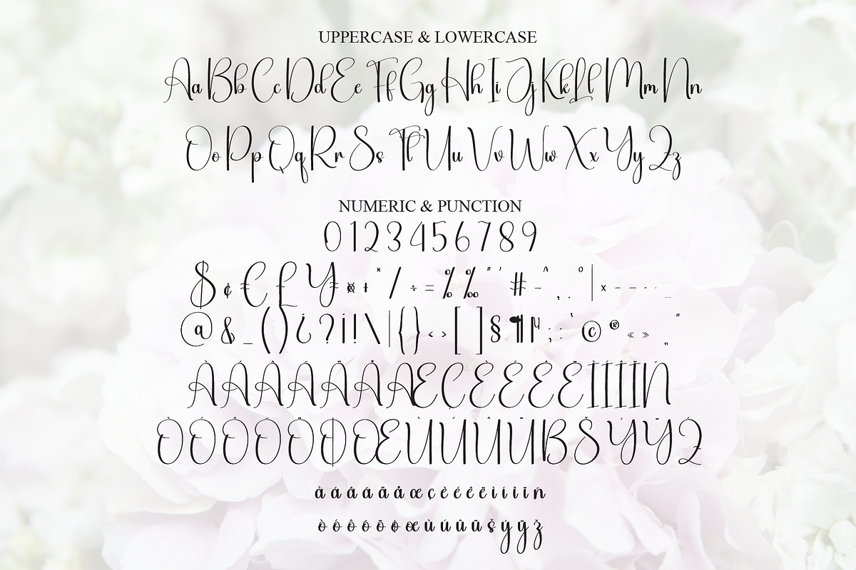 Blushing | Script Font, a Handwritten Font by Scratchones (Photo 7 of 8)