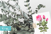 Watercolor Pink Roses, a Decorative Illustration by Color_Brush (Thumbnail 8 of 9)